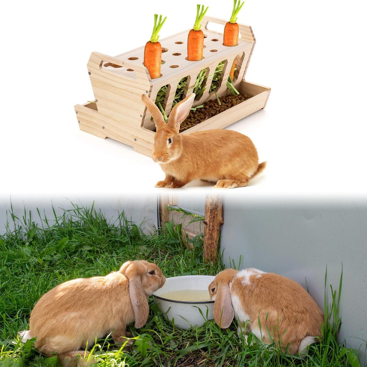 Rabbit Hay Feeder Rack Large Small Animals Feeding Holder for