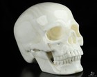Foto 3 di 9