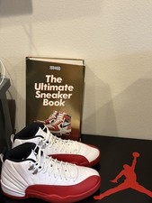 Evolution of the Nike Air Jordan Signature Shoe Sneaker Series: 1984-2023 44