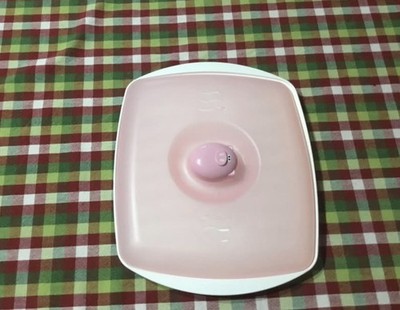 Joie Pig Microwave Bacon Tray & Splatter Lid, Quick Easy Bacon Cooker Piggy Gift