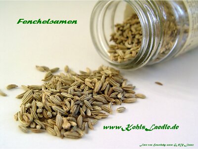 Fenchel, Samen, ganz - 100g.