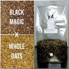 Premium Exotic Dung ALL-IN-ONE XL Mushroom Grow Kit 4 Pack Kit 6lbs Mixed Bag