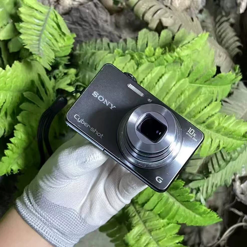 Sony Cyber-shot DSC-WX150 10X Optical Zoom 18.2MP Digital Camera 100% Working