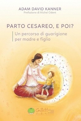Parto cesareo, e poi?: Un percorso di guarigione per madre e figlio by Michel Od