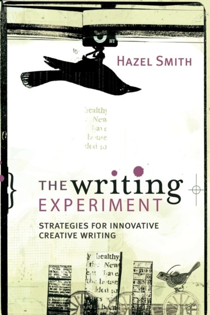 The Writing Experiment by Hazel Smith (Paperback Book)
