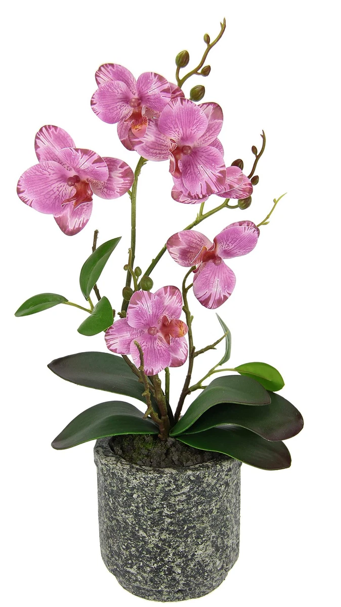 Orchidea Phalaenopsis Finta In Vaso Ceramica – Pianta Artificiale Con Foglie E Radici – Decorazione Casa