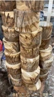1 Pc. Premium  Ambrosia Maple  turning pc 6” x 4"  CLEAN!!!