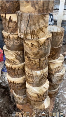 1 Pc. Premium  Ambrosia Maple  turning pc 6  x 4''  CLEAN!!!