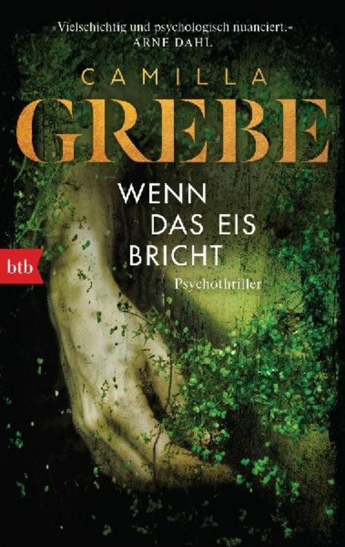 Wenn das Eis bricht Camilla Grebe
