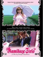 Kamikaze Girls - DVD By Various - GOOD