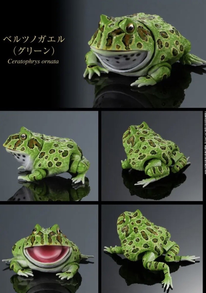 shop ⁑FROG⁑　giosアイローネ Toy - Red Eye Tree Frog - The Tye-Dyed Iguana - Reptiles and