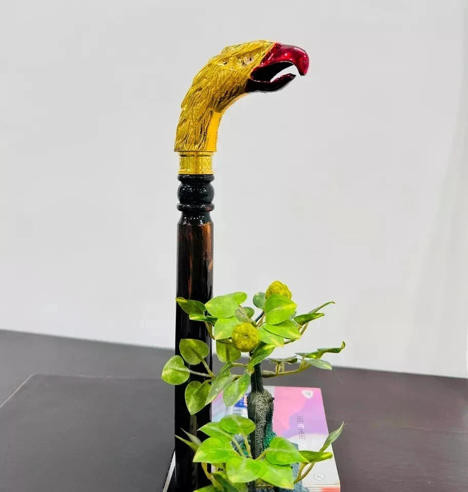 Bengala de madeira águia cabo e bastão esculpidos em madeira bengala esculpida à mão caminhadas - Imagem 4 de 4