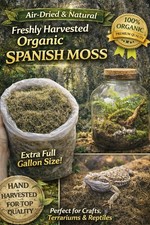 Fresh ORGANIC Florida Live Terrarium Moss 1 Gallon Air Plant Decor Craft STUFFED