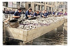 ptc4578 - Yorks. - "Herring Girls" Gipping & Packing Fish at Whitby - print 6x4