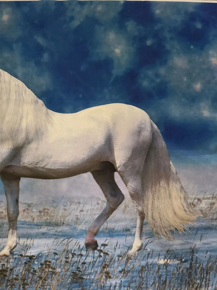 Digitally Printed White Unicorn Beach Fabric Panel 35"L X 44"W By Four Seasons - Image 4 of 4