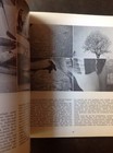 Foto 2 di 3