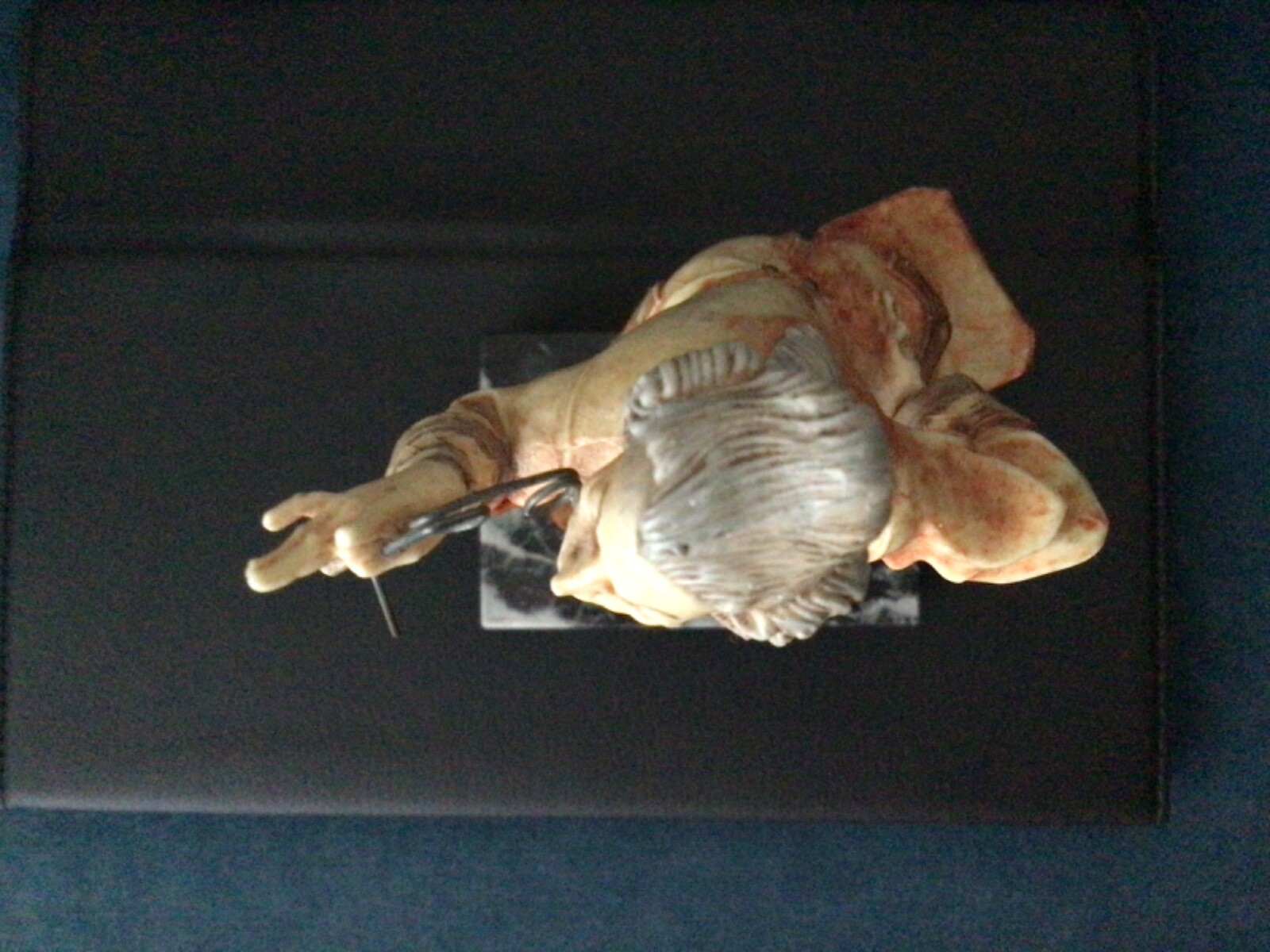 Picture 5 of 12
