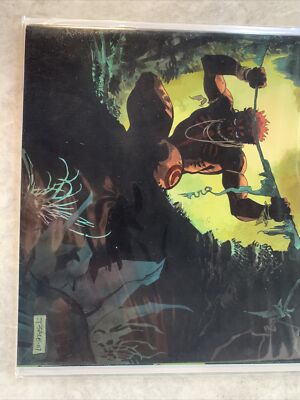 Amazon #1 2009 Dark horse comics | eBay