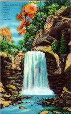Vintage Looking Glass Falls Postcard Pisgah National Forest NC