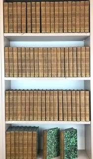 XIXe HISTOIRE NATURELLE 1799 Leclerc de Buffon 68 vol. GRAVURES