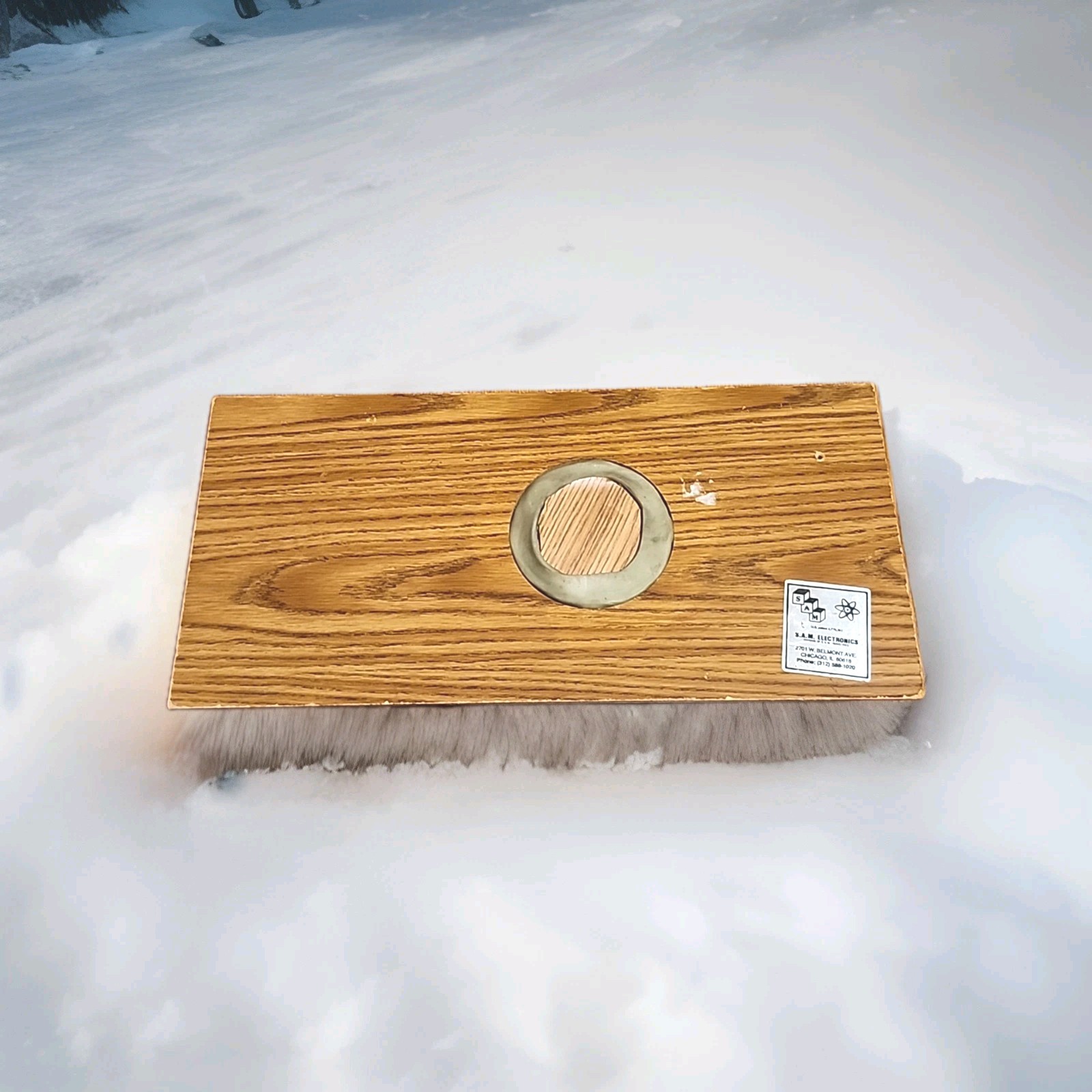 Vintage Sam's Large Mouth Bass Novelty Talking Fish 