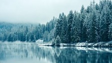 Landscape forest water trees winter snow nature cold Custom Gaming Mat Desk