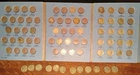 29 Buffalo Nickels (Whitman folder 9008 + 11 extra coins)