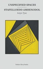 Unspecified Spaces by Iestyn Tyne Paperback Book