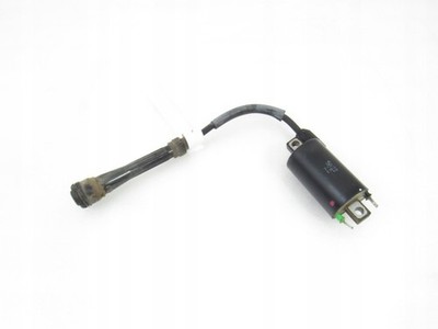 Cectek Kingcobra 500 Zündspule