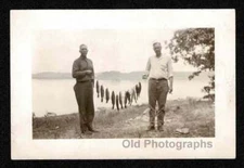 LAKE 2 FISHERMEN CATCH STRINGER FULL FISH OLD/VINTAGE PHOTO- F18