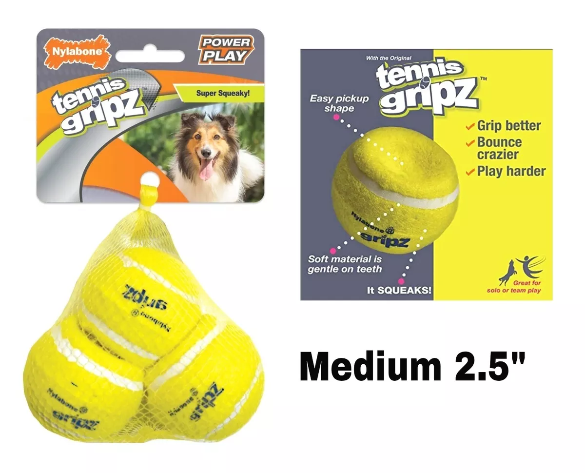 Nylabone Power Play Crazy Ball Dog Toy, Large