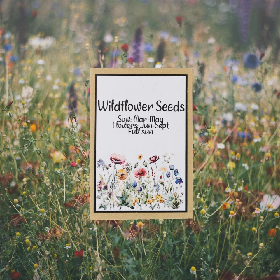 Juego de regalo de jardinería - taza de rodillera y esmalte marino, semillas de flores silvestres - taza floral Foto 4 de 4