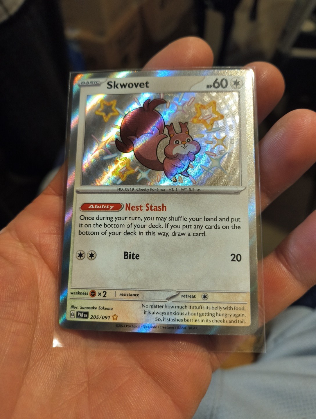Pokémon Skwovet TCG Paldean Fates Shiny Holo Rare Card 205/091 NM