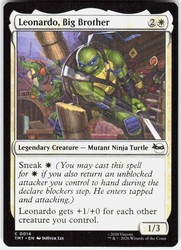 Leonardo, Big Brother - Teenage Mutant Ninja Turtles - #14 - Common