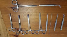 Dental Microsurgery Student Veterinary Examin...