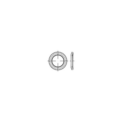 Schnorr Scheiben 1.4301 S 16 A 2 S 100 Stk