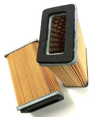 2 PACK - CURTIS 5E2VT8 E-57 INTAKE AIR FILTER ELEMENT #70153 66142