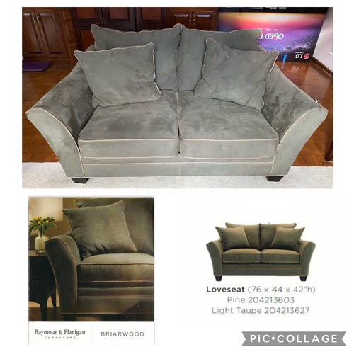 raymour and flanigan dog chair