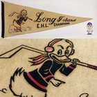 Vintage 1965 Long Island Ducks 11.5x28 Inch Pennant EHL Hockey Champions — photo 1