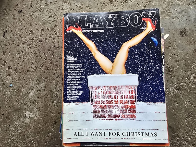 Playboy Magazine Dec 2013 Gala Holiday Issue