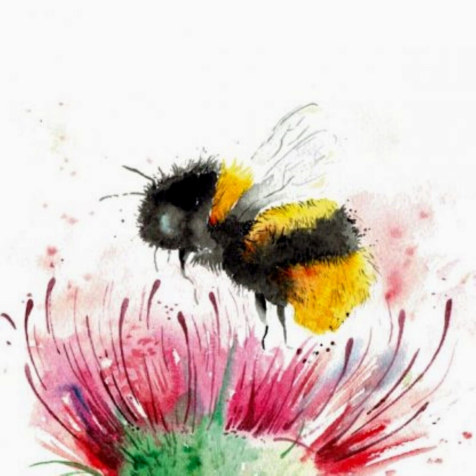 Thistle and Bee Plantable Seed Card Sarah Reilly, Love Country