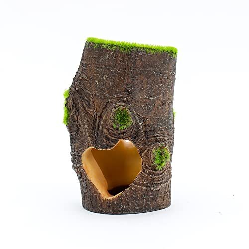  Aqua-Flora Aquarium Living Resin Decoration with Embedded Glosso Plant Seeds 