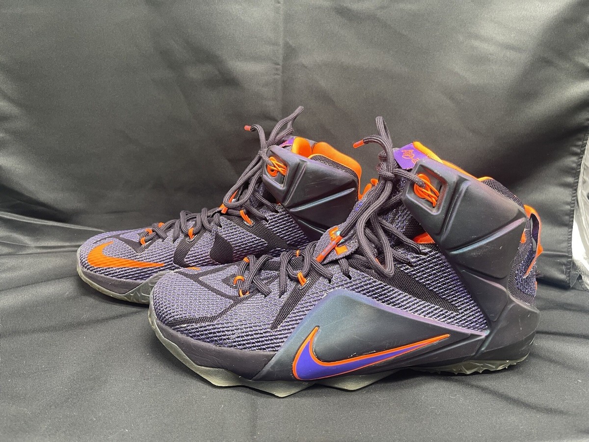 Nike LeBron 12 Instinct 2014 Size 9 684593-583 | eBay