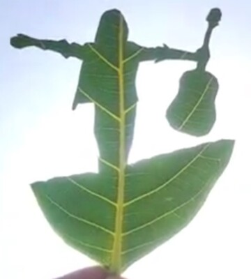 man with guitar in leaf Art - DXF SVG DWG CNC Plasma Laser Cut Wood Router