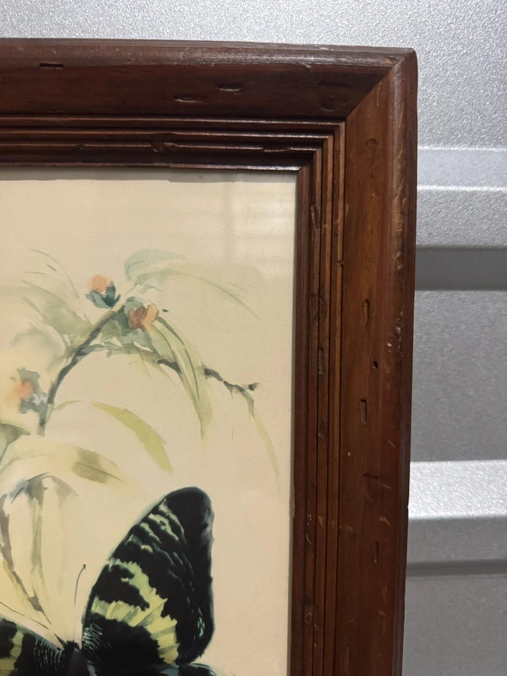 "Pintura firmada enmarcada mariposa acuarela Ballestar vintage años 80 B 18"" x 10""" Foto 3 de 4