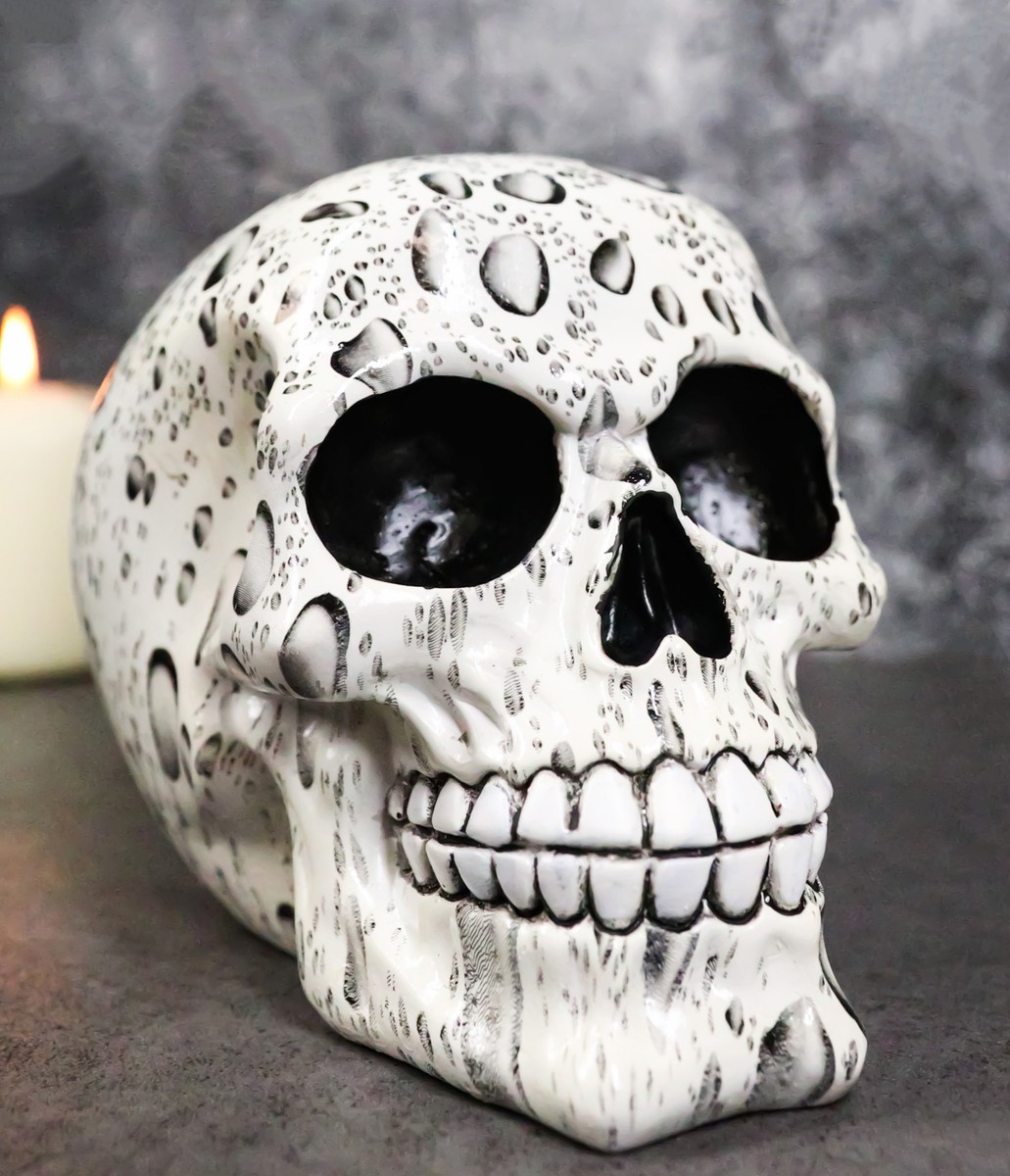 Day of The Dead Raindrops Water Droplets Scene Gothic Skull