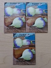 Semillas vegetales vintage-American Seed Corp nabo púrpura tapa globo blanco paquete de 3