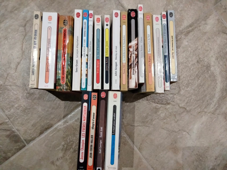 LOT 20 LIVRES poche , collection POCHE , en bon état ( 101) - Photo 1/3
