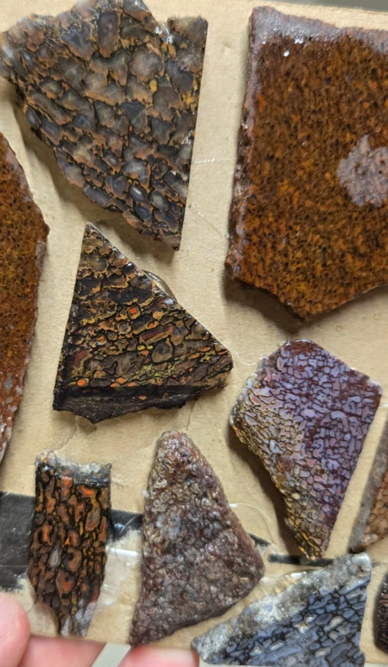 Surtido de gemas de dinosaurio ágata de hueso, losas de cabujón, preformas, rebanadas, 7 piezas, plano 49 Foto 4 de 4