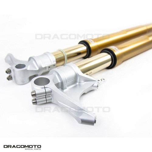 SUZUKI GSX 1300 R Hayabusa 2008-2012 forcella oro OHLINS FGRT 208 R&T 43 NIX - Foto 5 di 8